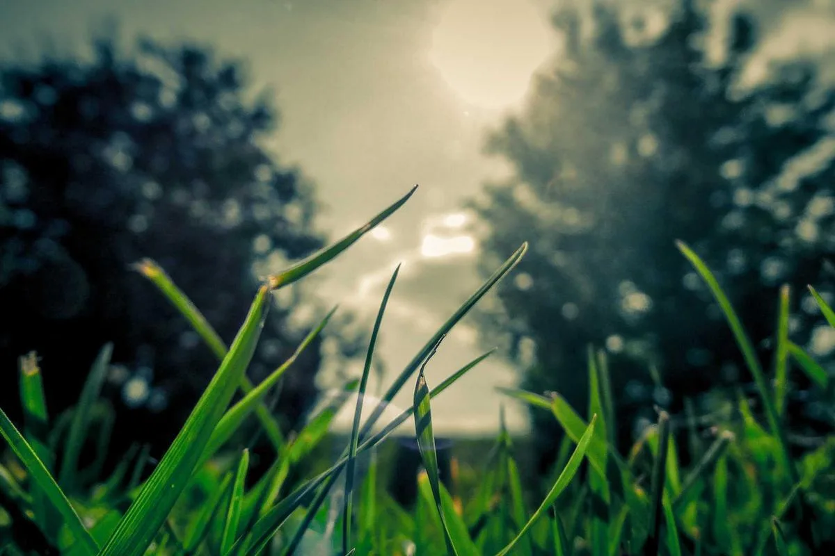 Single Story House 100 Sqw Hua Hin Good Deal