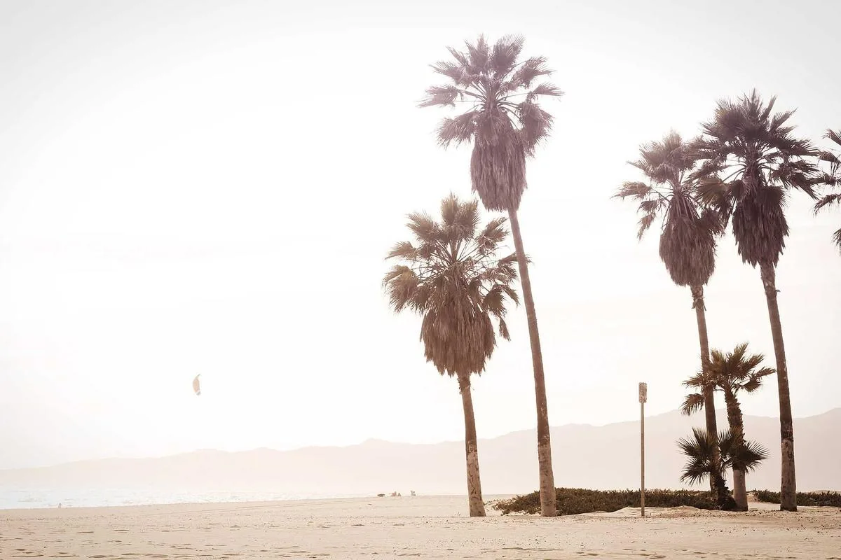 50 Sqw City Center Land Suitable for Condo - 2