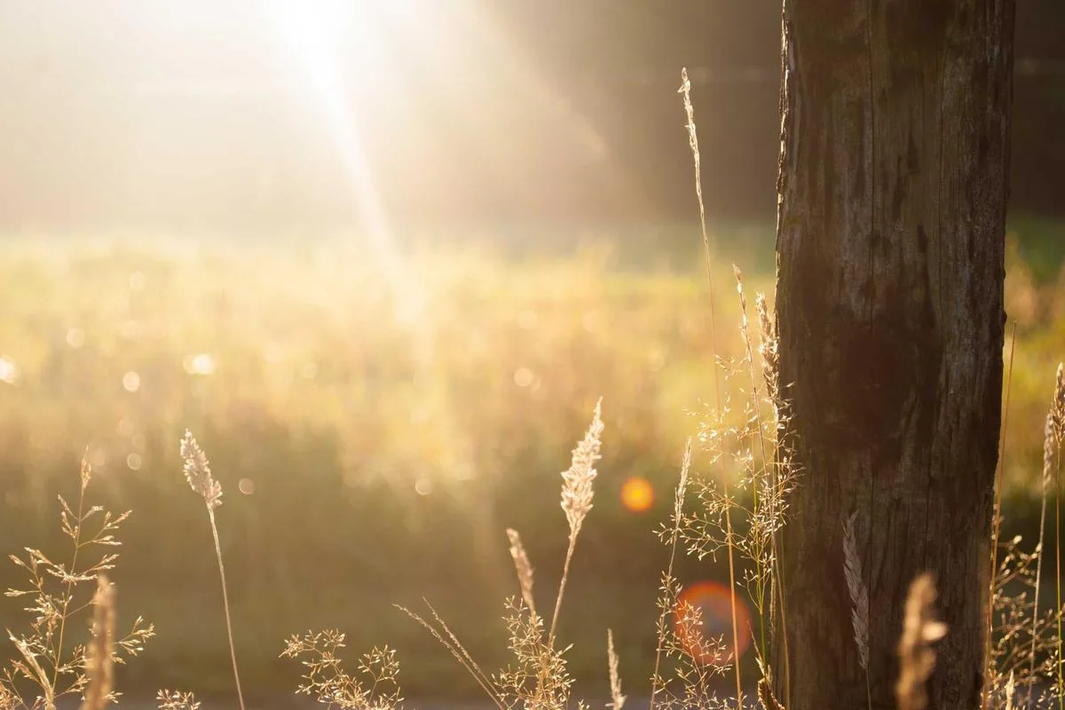 Luxury 5BR Villa Infinity Pool Sea View