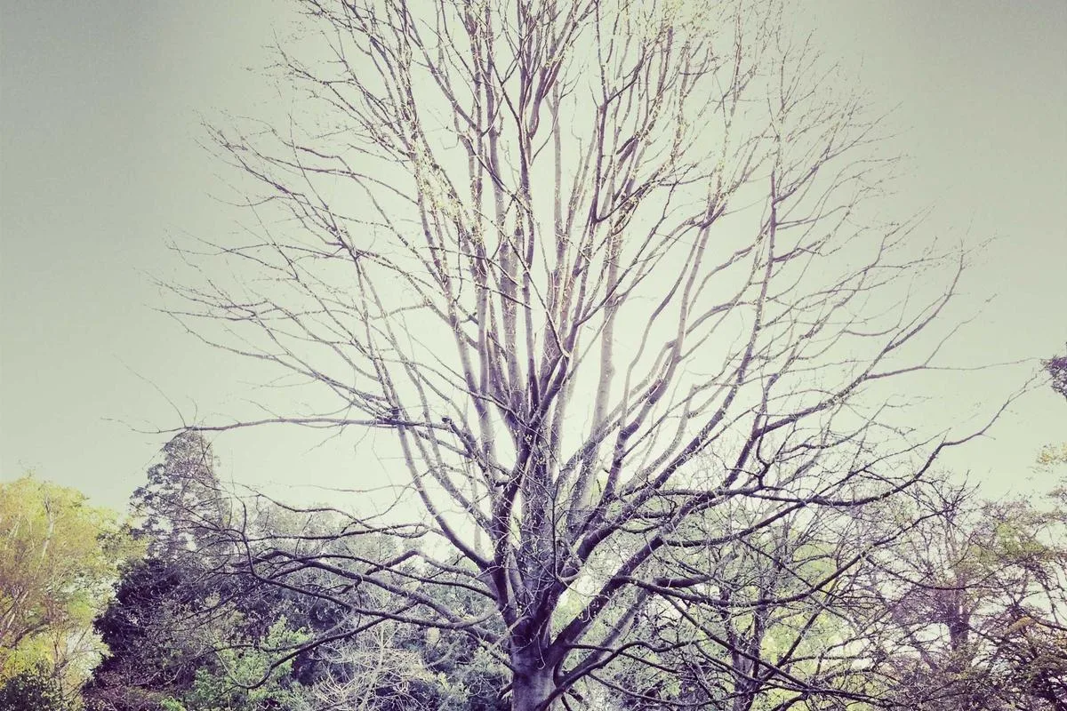 3-Story Townhouse Good Location Near Market 9