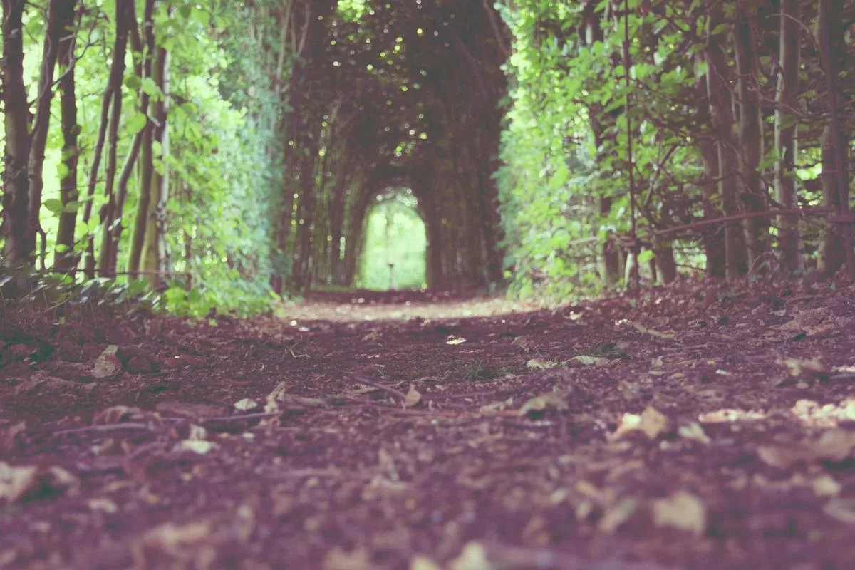 Monthly Rent Apartment Fully Furnished All In 38